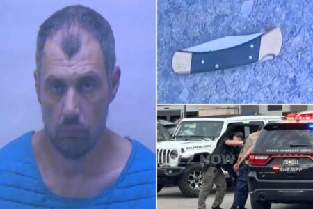 Madman who stabbed 11 at Michigan Walmart ID’d