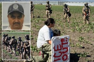 Migrant farm worker dies after falling 30-feet from roof during chaotic California pot farm raid