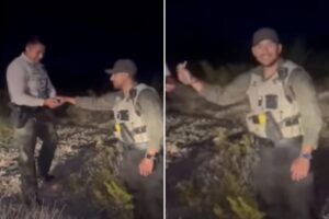 Fiendish New Mexico sheriff’s deputy fatally throws helpless baby rabbit against side of car: video shows