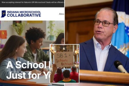Microschools are on the rise — as parents seek alternatives to public education
