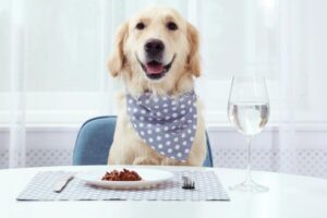Majority of childless dog owners say their lives revolve around their pets: survey