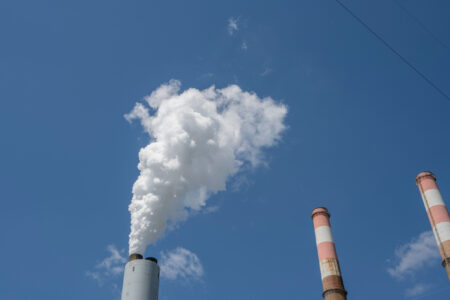 Sierra Club: The Trump Admin’s Toxic MAHA Contradiction | Opinion
