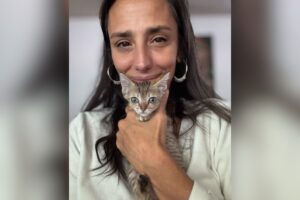 Tears As Tiny Kitten Stays by Woman’s Side During Her Last Few Moments
