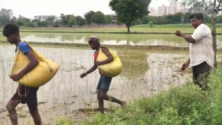 India’s early monsoon season brings mixed fortunes to farmers