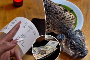‘Wildly inappropriate’ server bashed over stalking low-tipping influencer to troll her on social media: ‘Lowkey harassment’