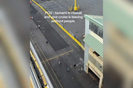 Cruise Line Accused of Leaving Tourists ‘Stranded’ in Tsunami Speaks Out