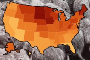 Map Reveals Most Rodent-Infested US States