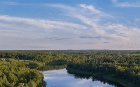 Ontario township claims bankruptcy with .5M in accumulated debt