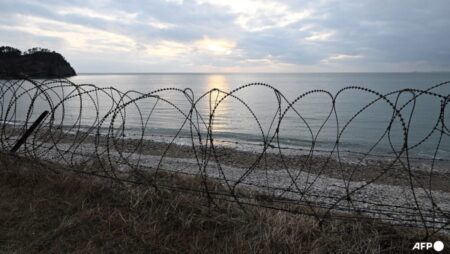 North Korean rescued after swimming across border: Seoul