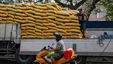 Vietnam food association urges trade ministry to challenge Philippine rice import suspension