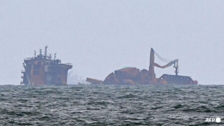 Singapore shipowner slams US billion damages award after Sri Lanka marine disaster
