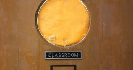 Toronto teacher fired for wearing blackface costume should be reinstated: arbitrator
