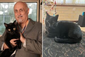 Viral Kitty: Florida lab cat helps discover brand-new virus strain — again