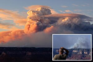 How ‘fire clouds’ caused by Arizona and Utah wildfires are creating their own erratic climate