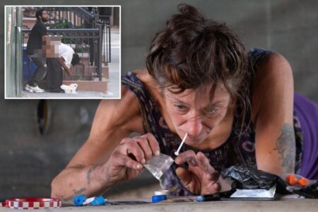 Exclusive | Safe injection site brings daytime public sex to East Harlem: ‘Getting my own porno show’