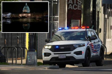 Ex-diplomat and World Bank consultant arrested for sexually abusing three children under 10 in DC: report