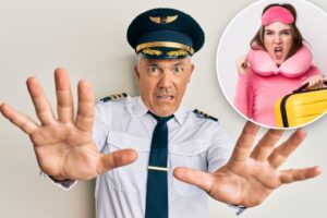 Pilot praised for ‘sassy’ response to ‘ungrateful’ passenger — after crew saved her life: ‘Him being French makes this funnier’