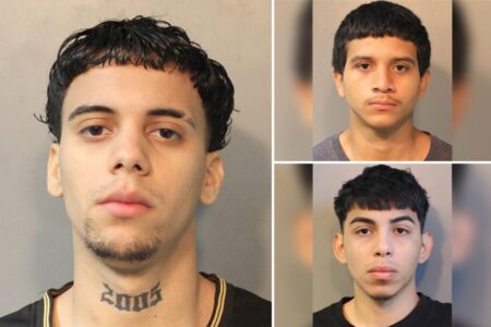 Exclusive | Trio of MS-13 migrants busted in Nassau County in joint ICE operation — charged with 14 counts of attempted murder