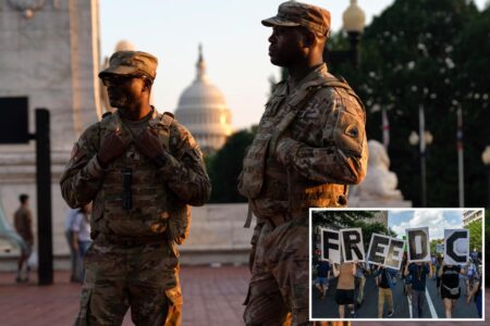 More than 700 National Guard troops from 3 GOP-led states will be deployed to DC to bolster Trump crackdown
