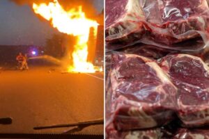 Vegan firefighter fights very first blaze — involving 40K pounds of burning ribeye steak