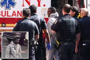 Alleged Queens carjacker suffers apparent health episode at NYPD precinct: photos