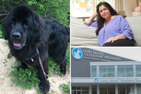 Exclusive | LI animal hospital left beloved dog to die, charged ,500-a-night — and lied about his condition, grieving owners claim
