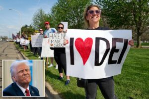 DEI remains widespread in college hiring despite bans, analysis reveals
