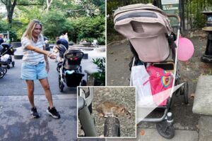 Exclusive | NYC’s Central Park playground overrun by brazen rats who even raid baby carriages: parents