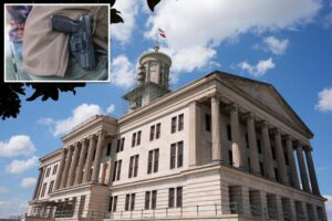 Tennessee judges deem ban on guns at playgrounds ‘unconstitutional’