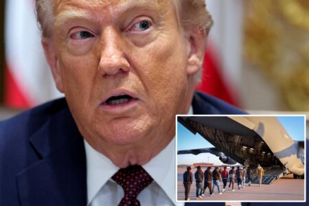 Federal judge blocks Trump from swiftly deporting illegal migrants from the interior of the country