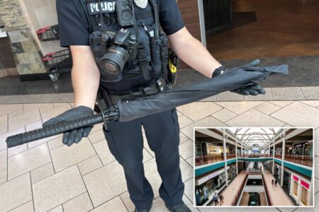 Shoppers at NY mall mistake umbrella for AR-15 rifle, prompting chaos and police lockdown