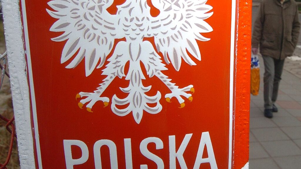 Record number of foreigners obtained Polish citizenship in 2024