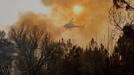 Requests for EU aid to battle wildfires reach entire 2024 tally