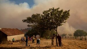 Spain reports nearly 400,000 hectares burned and 37 arrests in fires