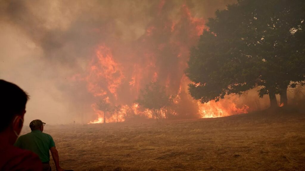 Record amount of wildfire destruction marks dark year for Europe