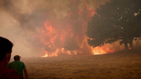 Record amount of wildfire destruction marks dark year for Europe