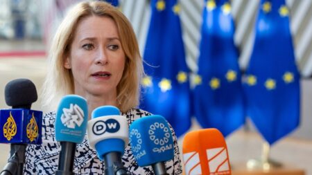 EU calls for ‘transatlantic unity’ ahead of Trump-Putin summit