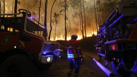 Portugal evacuates villages as 1,800 firefighters combat wildfires