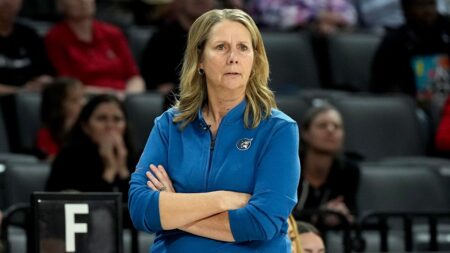 Minnesota Lynx head coach Cheryl Reeve rips ‘sexualization of women’ as lewd WNBA disruptions continue