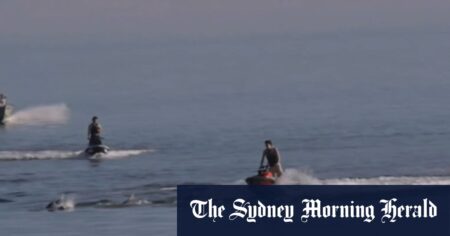Authorities investigating jet skiers who barrelled through dolphins
