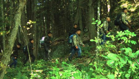 US northern border smuggling creates ‘shopping grounds’ for migrants to sanctuary communities: attorney