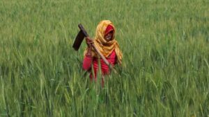 Why has India vowed to protect its farmers in the face of tariff threats?