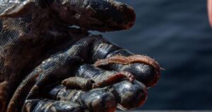 Scientists search for climate change answers in Quebec sea floor