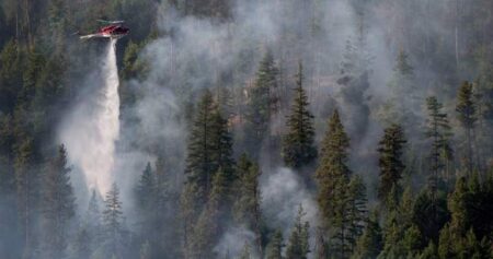 20 homes destroyed by wildfire in Nova Scotia’s Annapolis Valley