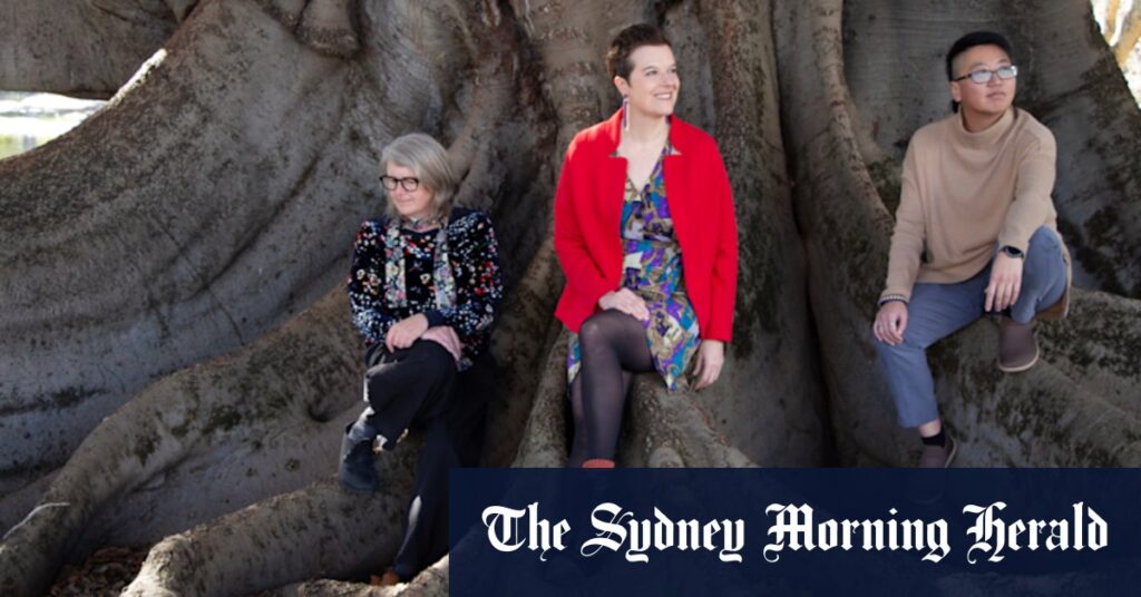 The Perth artists using technology to give a new perspective on the city’s shot-hole borer toll