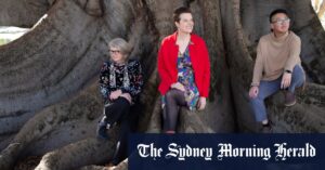 The Perth artists using technology to give a new perspective on the city’s shot-hole borer toll
