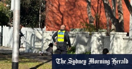 Six arrested after gunshot, screams heard in altercation
