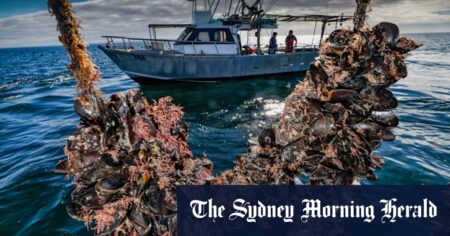 The Age photos of the week, August 16, 2025