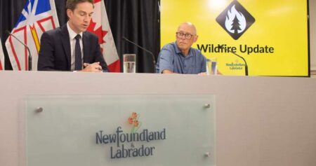 Around 20,000 under wildfire evacuation alert in Newfoundland and Labrador