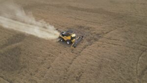 Tariffs dampen harvest season for Canadian farmers